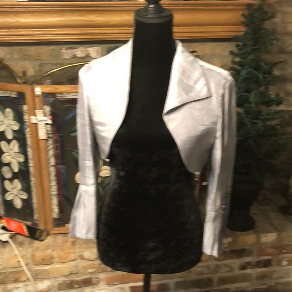 gorgeous dress. metallic grey bolero short jacket would make beautiful mother of - Picture 8 of 8